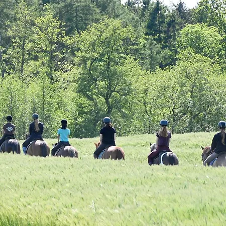 Dom wakacyjny Luxuswellnesshaus Duenenperle Bliesdorf